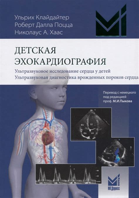 Основные медицинские центры для детей: электроэнцефалограмма и ультразвуковое исследование сердца