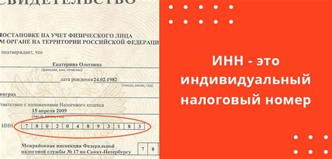 Основные места, где можно найти идентификационный номер юридического лица Краз