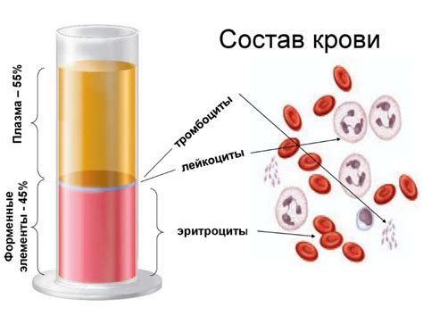 Основные места приема крови и информация о контактах в Ярославле