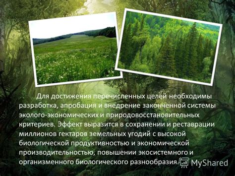Основные направления деятельности в земле Темми
