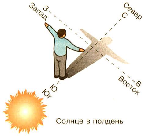 Основные направления и положение солнца