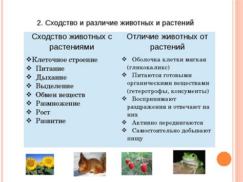 Основные отличия между фреей и блесс фреей