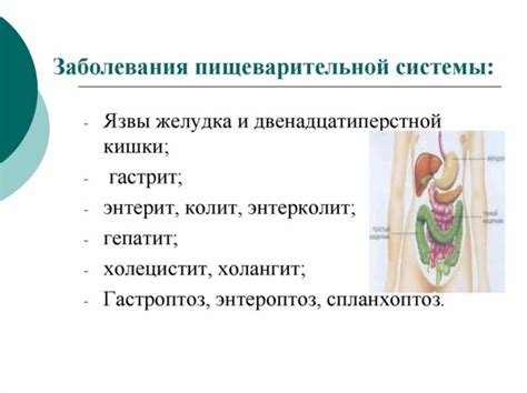 Основные преимущества ФГДС в диагностике заболеваний пищеварительной системы