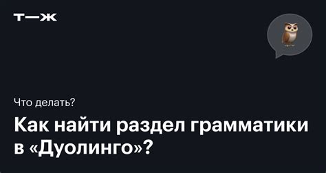 Основные принципы отбора идеального парка в Дуолинго