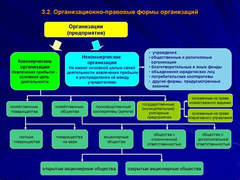 Основные принципы стимулирования финансового роста и процветания растения с денежными листьями
