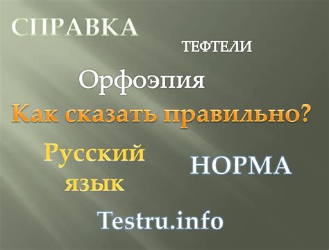 Основные принципы установки ударения в слове "тефтели"