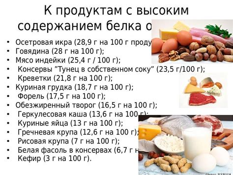 Основные продукты, обладающие высоким содержанием белка