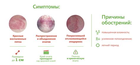 Основные типы высыпаний и их особенности