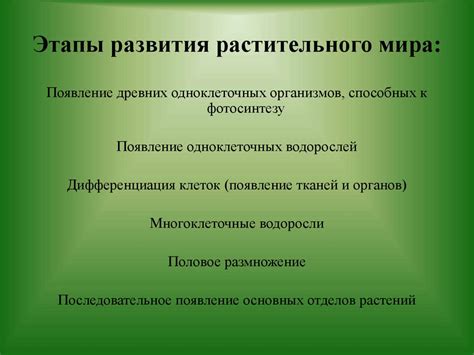 Основные этапы развития Аугсбургского религиозного мира