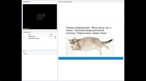 Основы собачьей репродуктивной активности: важные аспекты и нюансы