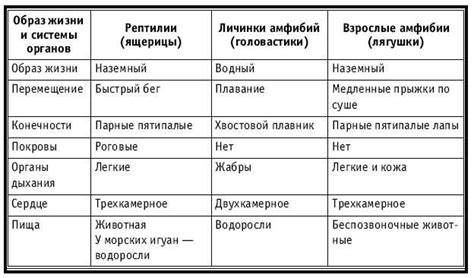 Особенности зверей и рептилий: сходства и различия