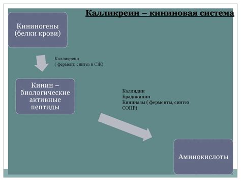 Особенности изучения гормонального состояния: информация для пациентов