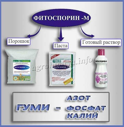 Особенности использования комбинации фитоспорина и бордосской жидкости в различных помещениях