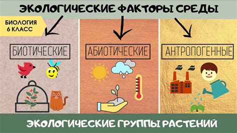 Особенности окружающей территории и ее влияние на застройку