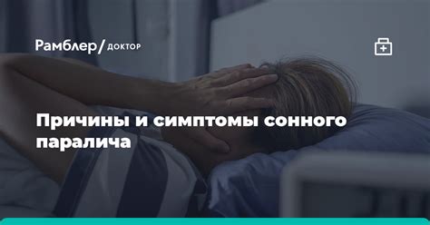 Особенности переживания сонного паралича у кошек и его сущность