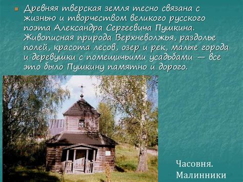 Особенности территорий, заселенных медведями, в Тверском крае