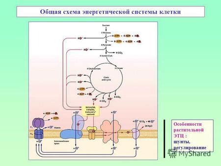 Особенности энергетической системы на престижном внедорожнике