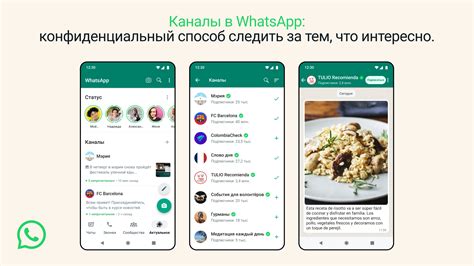 Отображение активности и доступность в мессенджере WhatsApp