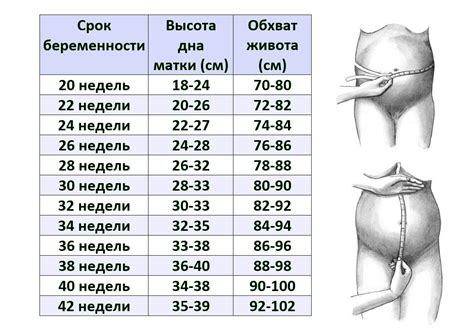 От чего бывает увеличение объема живота в начале беременности