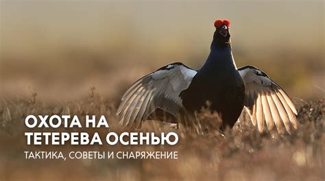 Охота на мощное снаряжение: где разыскать легендарную защиту