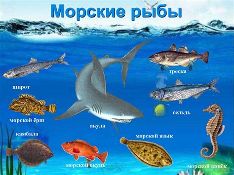 Охраняемые и сохраняемые водные обитатели: проблематика и перспективы