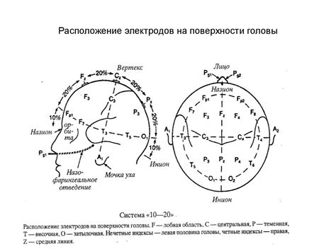 Ощущения на поверхности головы