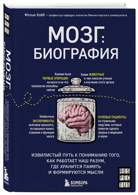 Память без ограничений: как работает наш многозадачный мозг