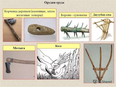 Первые инструменты труда и их применение