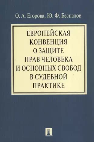 Первый взгляд: понимание основных свобод и прав, присущих каждому человеку