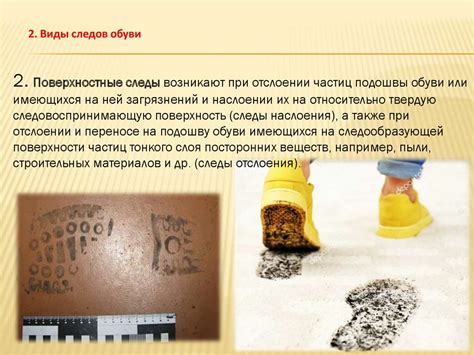 Пересечение территорий волов: обнаружение следов и создание ловушки