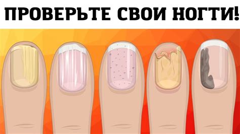 Персонажи, которые могут рассказать о месте, где находится раритетный автомобиль Порше Джонни