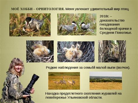 Перспективы исследований в области гнездования птиц
