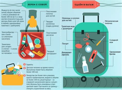 Питание и напитки в ручной клади: какие продукты разрешены в багаже