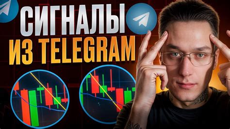 Платформы для начинающих трейдеров: выбор стабильного старта в мире финансовых возможностей