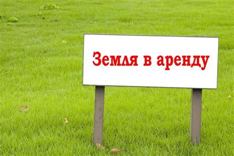 Плодородная низина Крыма: идеальное пункт назначения для сельского туризма и оздоровления