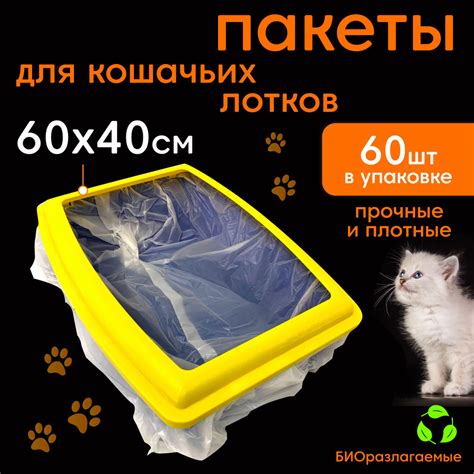 Подходящие условия для кошачьего лотка: что следует учесть