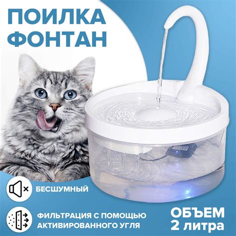 Полезные советы для успешной локализации автомобилей