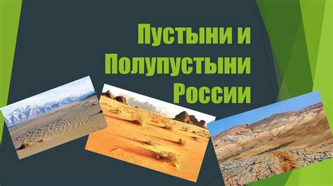 Полупустыни России: распределение и экологическая значимость