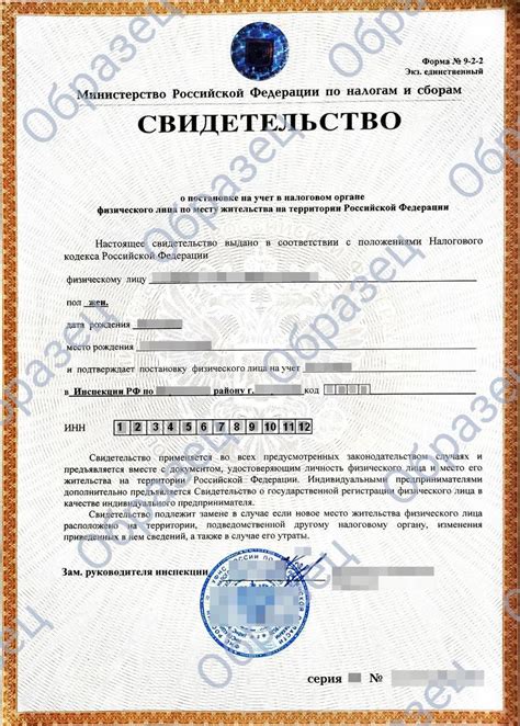 Получение ИНН: подробный гайд для физических лиц
