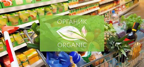 Польза выбора органических продуктов