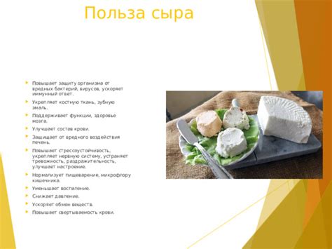 Польза для организма от особого вида сыра со своеобразной текстурой и интенсивным ароматом