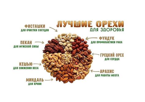 Польза орехов для начала нового дня