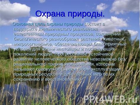 Понимание жизненных процессов для охраны природы