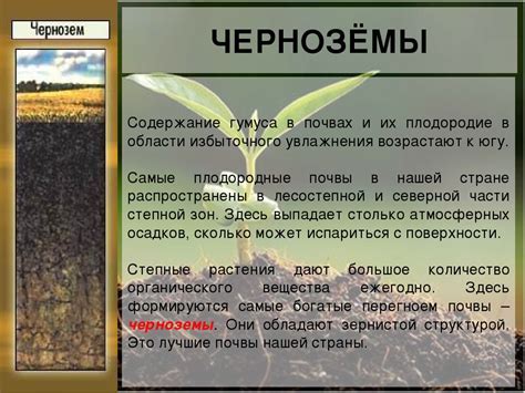 Понимание чернозема и его характеристики