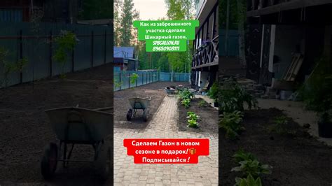 Понятие заброшенного участка и его характеристики