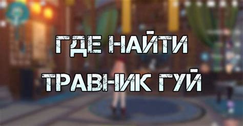 Понятие и роль травника Гуй в захватывающей вселенной Геншин Импакт