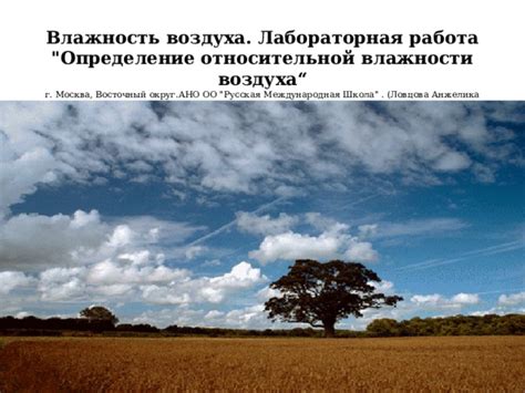 Понятие относительной влажности воздуха