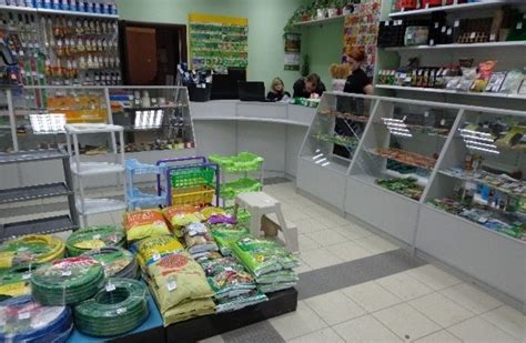 Популярные сети магазинов товаров для дома и сада