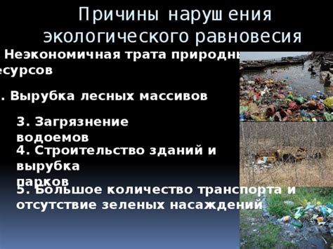 Последствия для человечества без природных лесных массивов