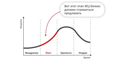 После жизненного этапа: свежие предприятия и партнерство с известными личностями